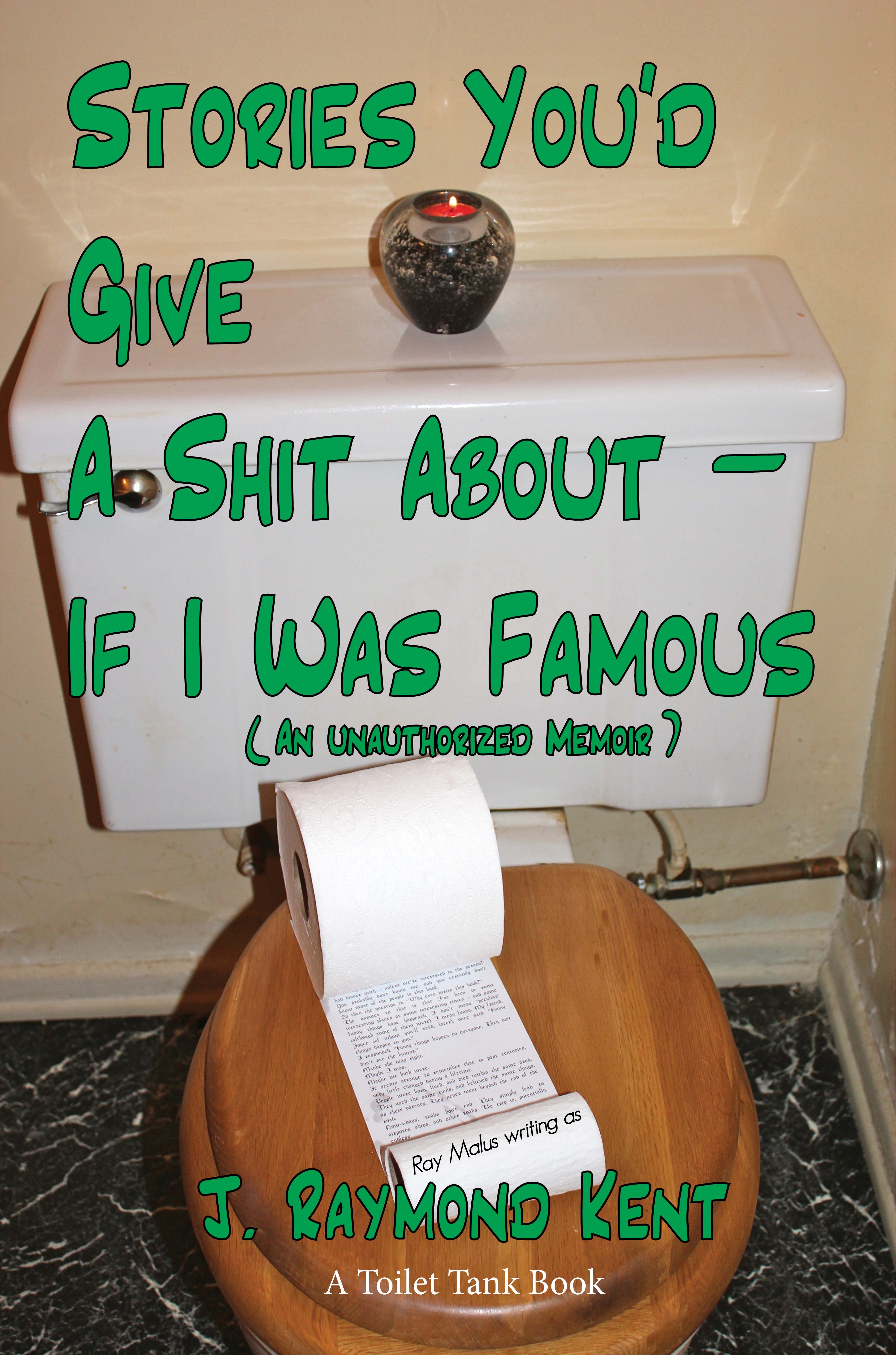 Stories You'd Give A Shit About  If I Was Famous Cover
